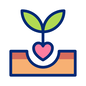 planta